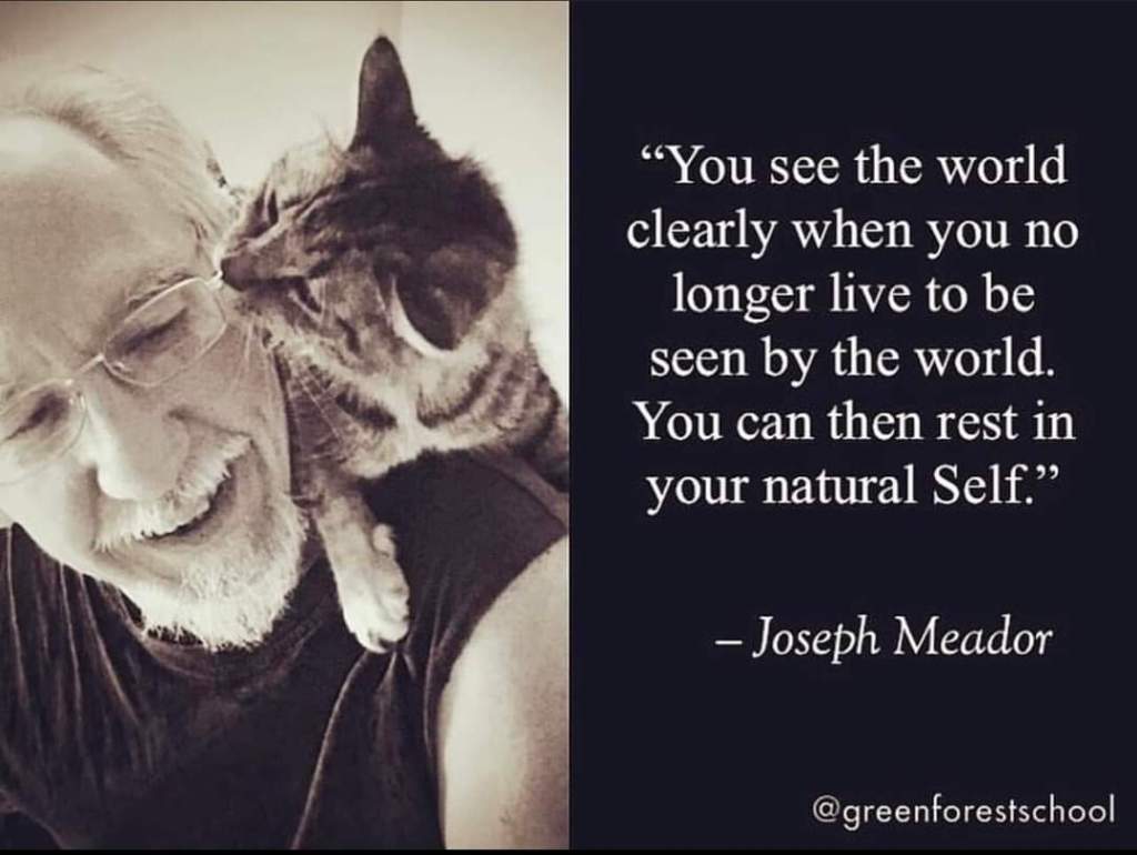 Rest in Your Natural&nbsp;Self