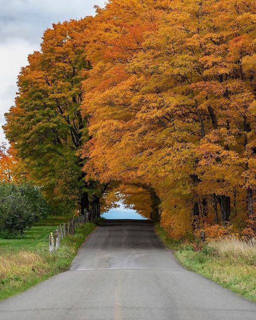 Like You Own&nbsp;It