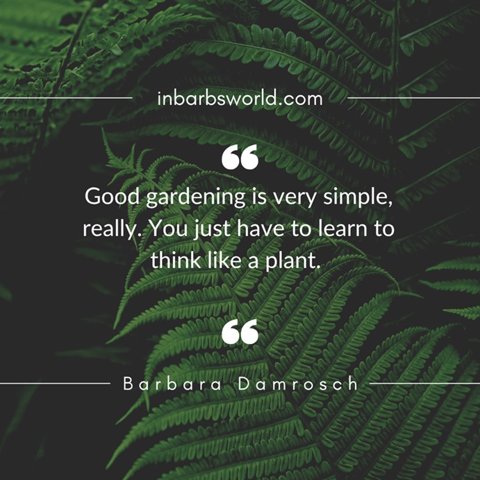 Think Like a&nbsp;Plant