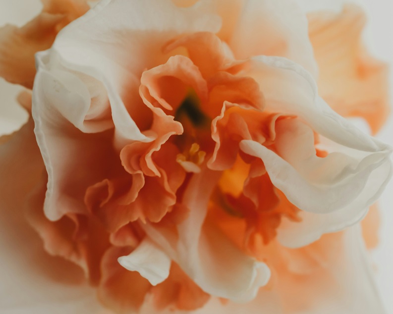 My Life is a&nbsp;Meme