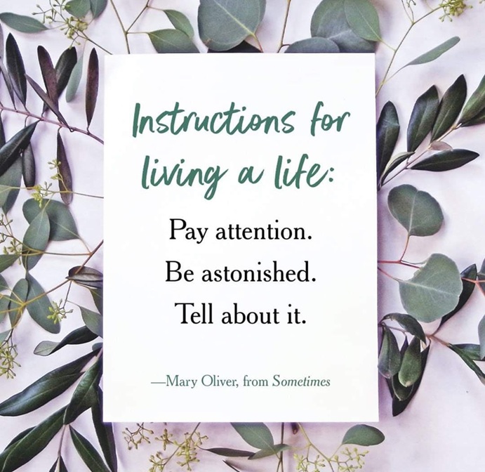 Try It For&nbsp;Ourselves